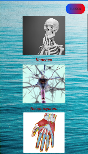 Android application Einfach Anatomie Voll screenshort