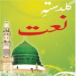 Cover Image of Download Guldasta e Naat 4.6 APK