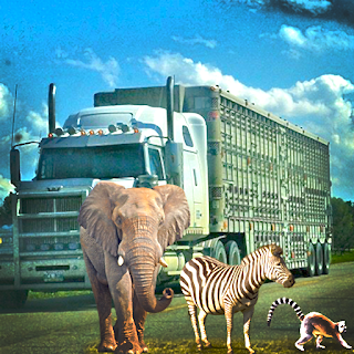 Animal Transport Duty Sim apk