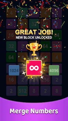 2248 Puzzle Game Master - Screenshot 3