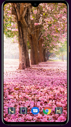 Blooming Tree Wallpaperのおすすめ画像5