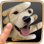 Top 48 Educational Apps Like Animal Quiz. Scratch Trivia Game - Best Alternatives