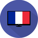 FRANCE TV icon