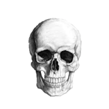 Skeleton Live wallpaper icon
