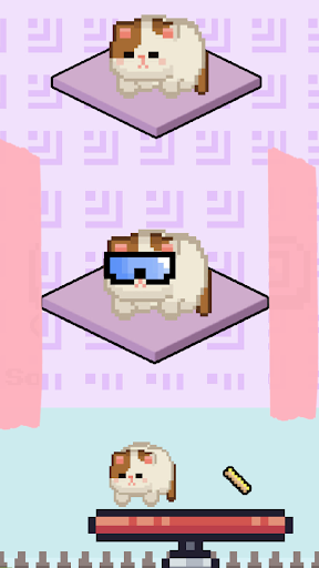 Cat Swing Screen 3