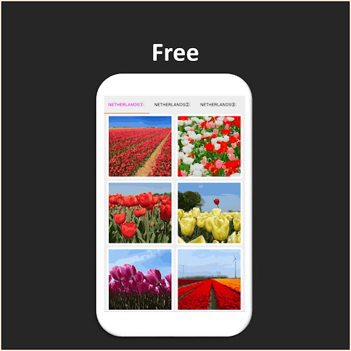 Color by Number - netherlands Screen 2