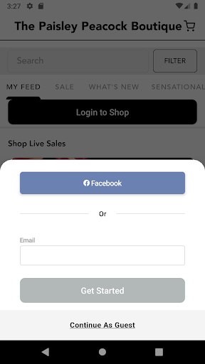 Screenshot of The Paisley Peacock Boutique