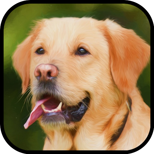 Labrador Retriever Wallpapers logo