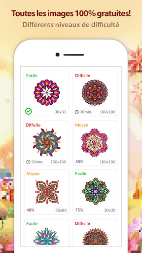 Aperçu de l'application