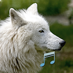 Cover Image of Download Animal and bird sounds 1.9.3 APK