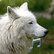 Top 40 Entertainment Apps Like Animal and Bird Sounds - Best Alternatives