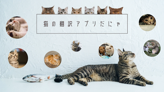 猫のアプリ猫の声 言葉 翻訳 ねこのきもちがわかる猫の鳴き声