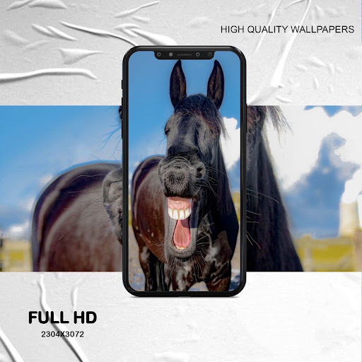Android application funny animal wallpaper screenshort