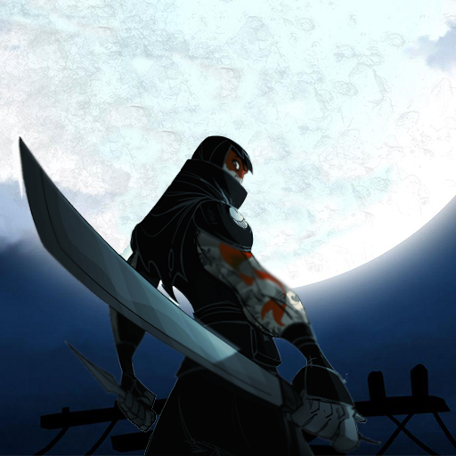 Ninja Warrior Shadow Fighting