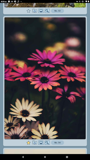 M.U. Quick Wallpapers Pro