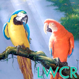 live parrot wallpaper icon