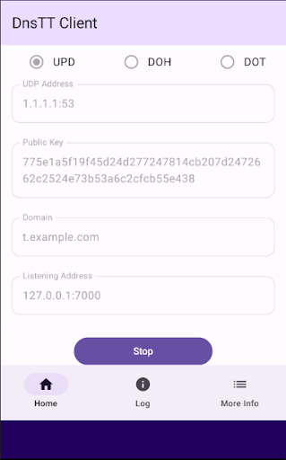 DnsTT Client Screen 2