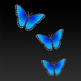 DXB Butterfly icon