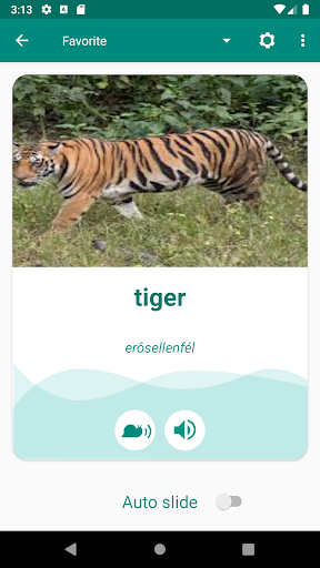 Hungarian English Dictionary Screen 3