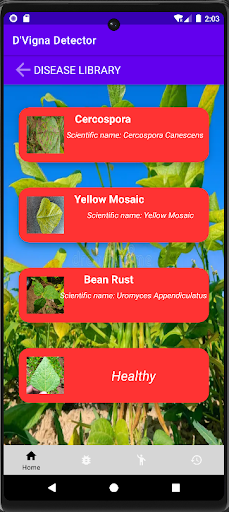 DMung Bean Detector Screen 2
