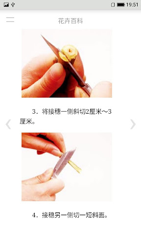 花卉百科 Screen 2