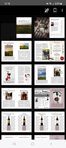 Bordeaux screenshot 4