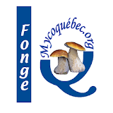 La fonge du Québec icon