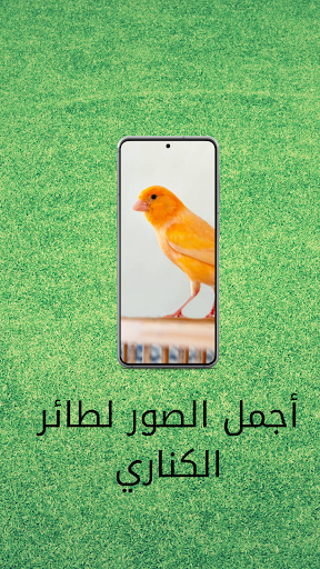 اجمل صوت تغريد كناري Screen 3