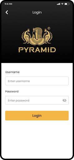 Pyramid RRM Screen 2