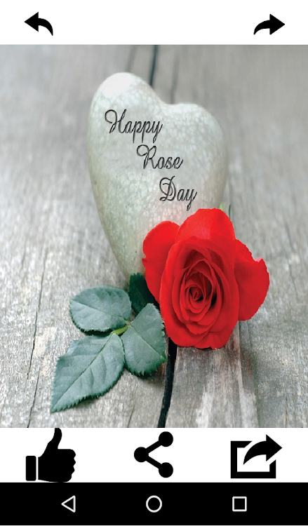 Happy Rose Day - 7.0.0 - (Android)