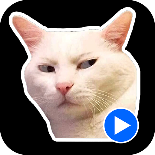 Cat Meme Animated Stickers