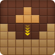  Block Puzzle Plus - Newest Brick Casual Game 