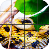 Snake Puzzle Games icon