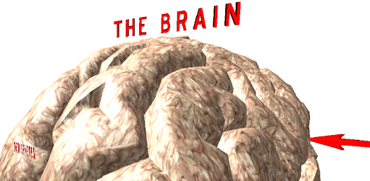 The Brain VR