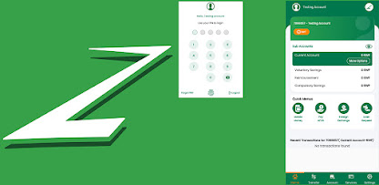 Screenshot image
