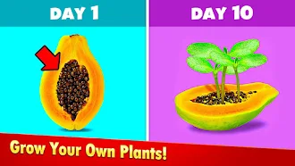 Game screenshot Mini Garden:Grow Plants hack
