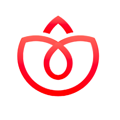 V Nhà đầu tư logo