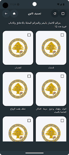 دليل تصنيف الجرائم في لبنان Screen 2