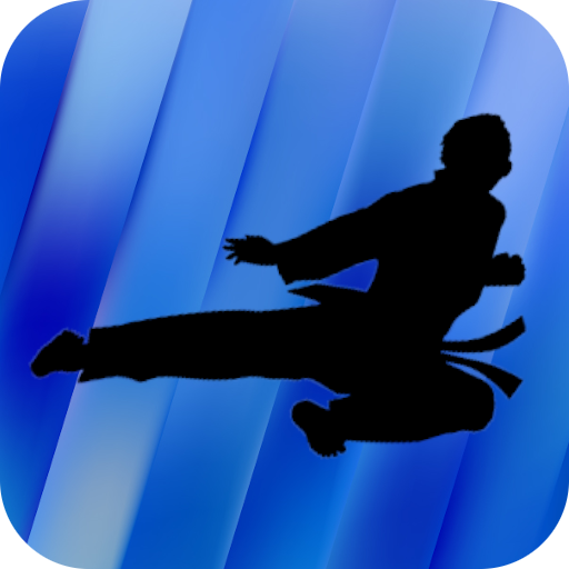 Taekwondo Training - Videos  Icon