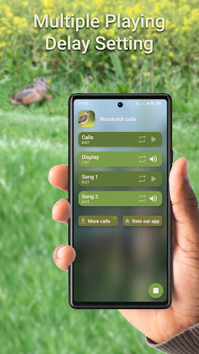 Woodcock Hunting Calls Screen 2