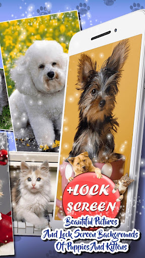 Cute Cat & Dog Live Wallpapers Screen 2