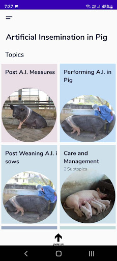 AI in PIG Screen 2