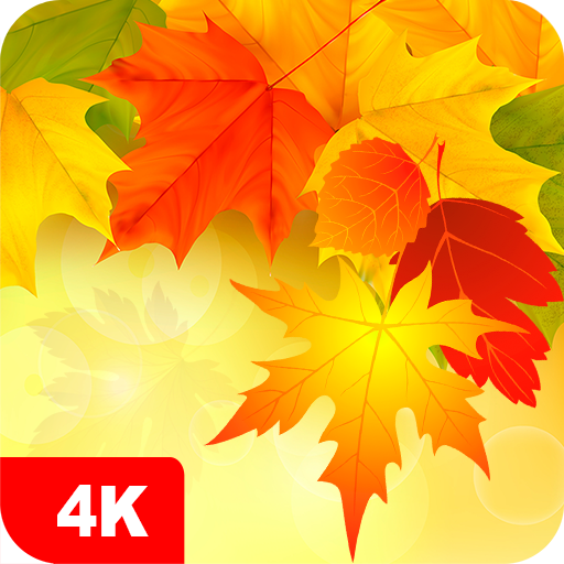 Autumn Wallpapers 4K  Icon