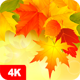 Autumn Wallpapers 4K icon