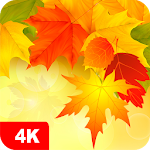 Autumn Wallpapers 4K Apk
