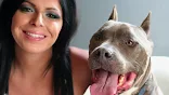Pit Bulls and Parolees' Season 16 Episode 7 Preview: Mariah searches for a  homeless woman and her dog