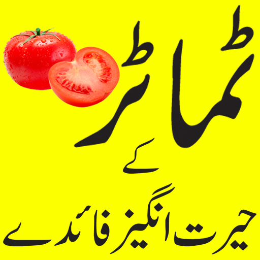 Tomato benefits in urdu  Icon