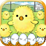 小鸡饲养系列~饲养大量小鸡的有趣的放置型游戏~ icon