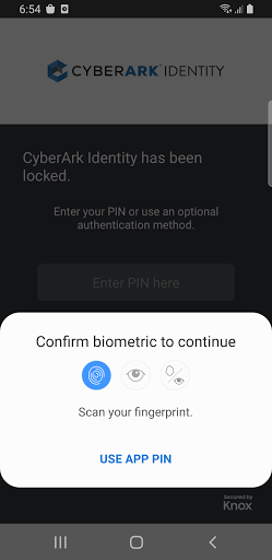 CyberArk Identity (formerly Idaptive) 21.12 (106) screenshots 3