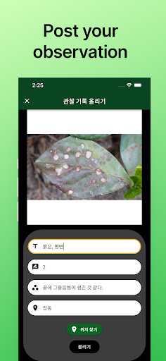 Leaf Exploration Screen 3